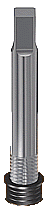 CXg[[ŃCT[gނ̒։݂܂